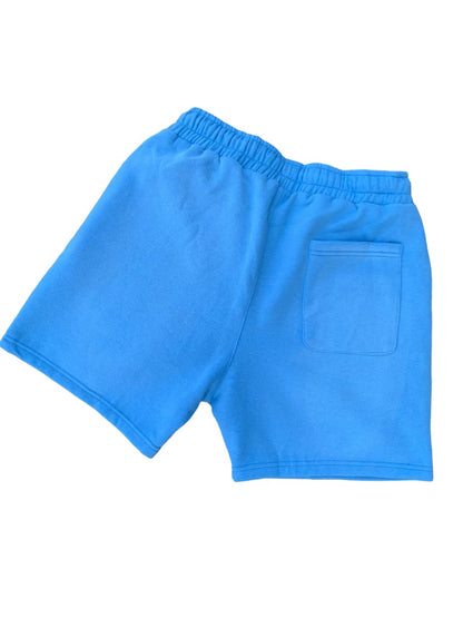 TJ Patchwork Shorts (Baby Blue)